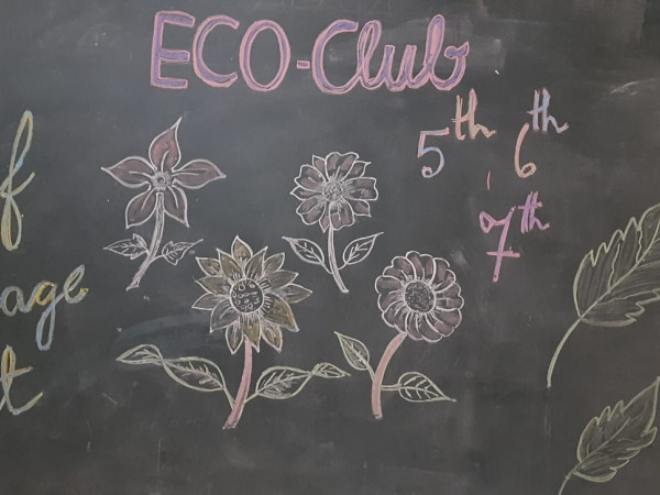 BHOOMI : THE ECO CLUB (@bhoomisapiens.kmc) • Instagram photos and videos
